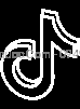 Footer Icon tiktok